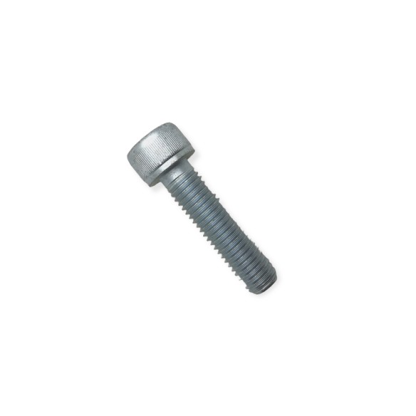 Lombardini LDW M10x40 Anlasserschraube