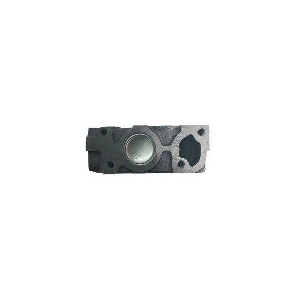 Cylinder head 3TNE68 Naked
