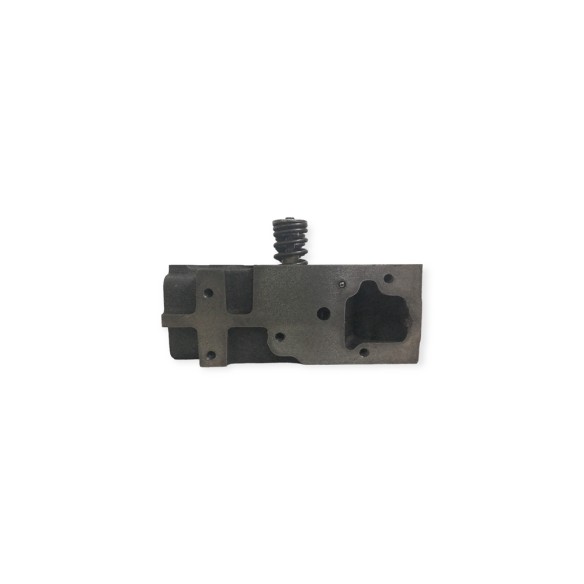 Cylinder head 4TNE92 With valves