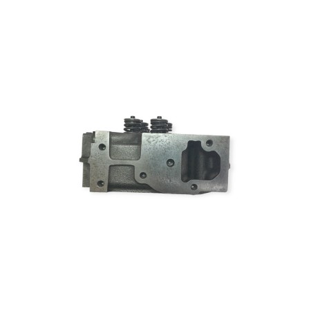 Culasse avec soupapes Yanmar 4TNV98