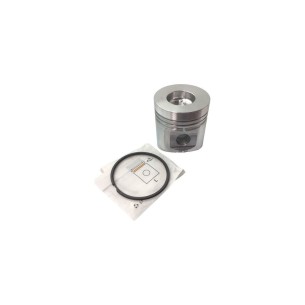 Kolben + 1.00mm Lombardini 3LD 450