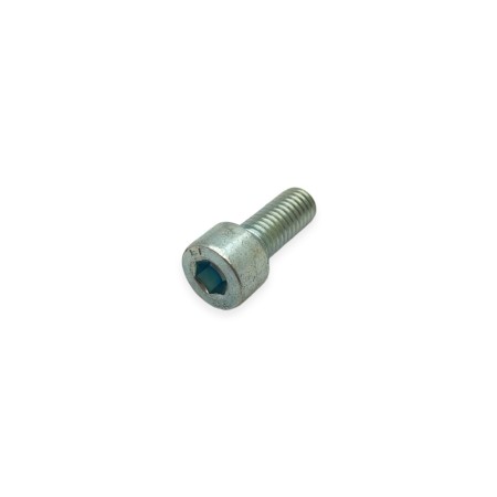 Vis m 8 x 20 Lombardini ED0097320740-S