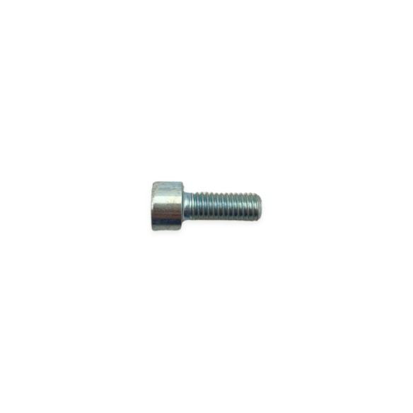Vis m 8 x 20 Lombardini ED0097320740-S