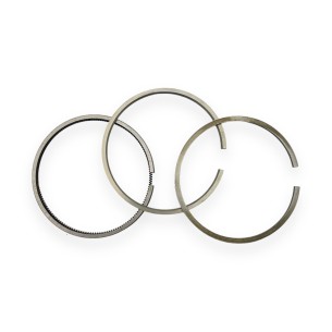 Set segments +0.50 Lombardini 9LD 625-2, 11LD 625-3, 7LD 665, 8LD 665-2