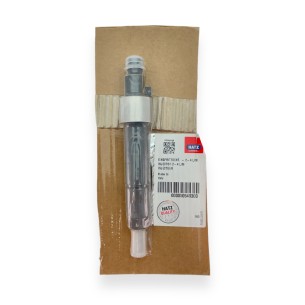 Hatz L/M.13 injector