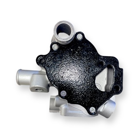 Bomba de agua Yanmar 3TNV76