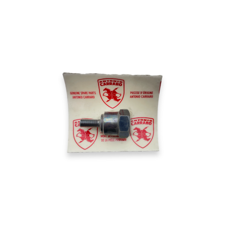 Carrarino clutch primary holder bolt series 43...