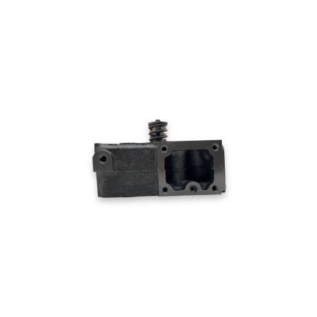 Kubota D1005 cylinder head with valves