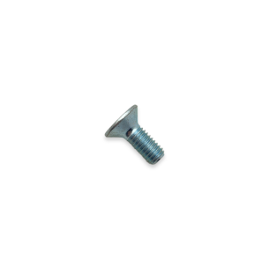 Tspei screw M 8 x 20 unit 5933