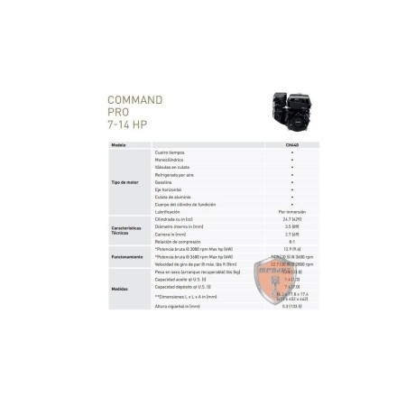 *Kohler CH440 Engine 23mm Lombardini Manual...
