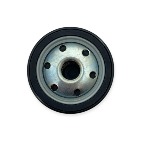 Oil filter Antonio Carraro engine WM 5400,...