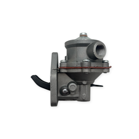 Diter D302 feed cylinder