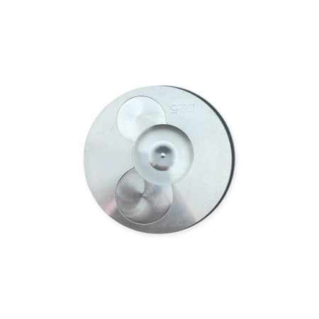 Piston con segmentos 0.25 Yanmar L48