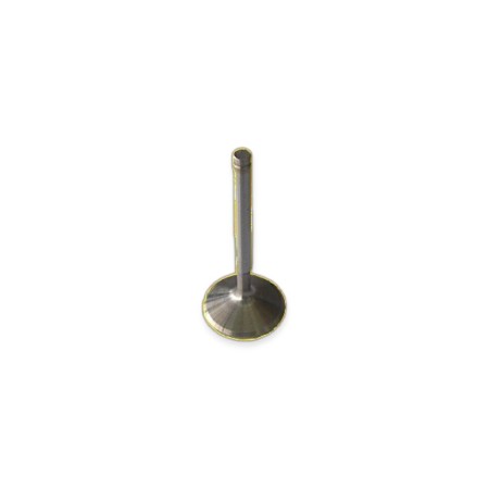 Valvula admision Kohler KD15 440