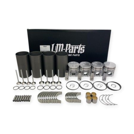 Kit de recondicionamento Yanmar Thermoking TK486V