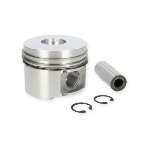 Pistão Padrão Hatz 1D41.18