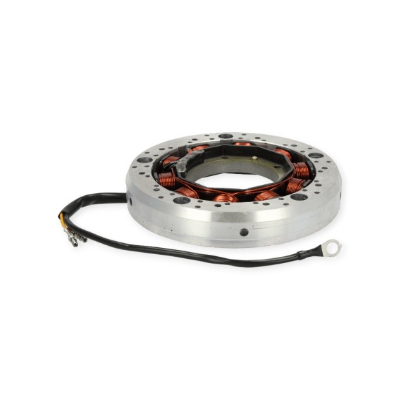 Hatz 1B20 1B30 12V 200W Lichtmaschine