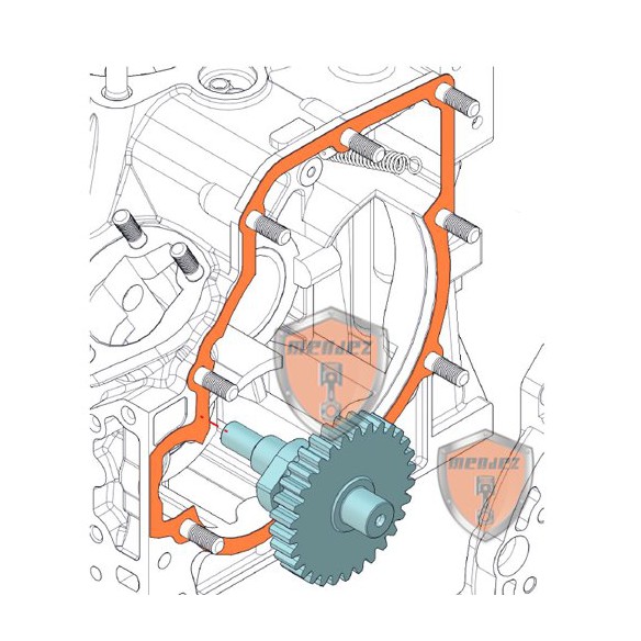 MINSEL-EINSPRITZNOCKENRAD M380, M430, M540, M600, RUGGERINI RF80, RF90, RF100, RF120, RF140