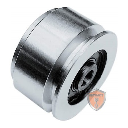 RIEMENSCHEIBE MIT ZENTRIFUGALKUPPLUNG - ZYLINDRISCHE KURBELWELLE 20MM - D.110MM - 1A