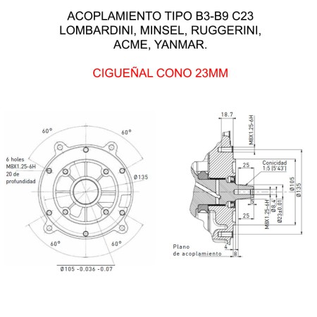 LOMBARDINI 15LD 350 KURBELWELLE KEGEL 23mm ELEKTROSTART