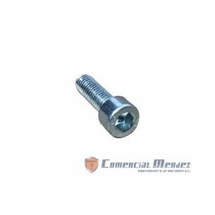 SCHRAUBE M 6 X 20 LOMBARDINI ED0097300120-S