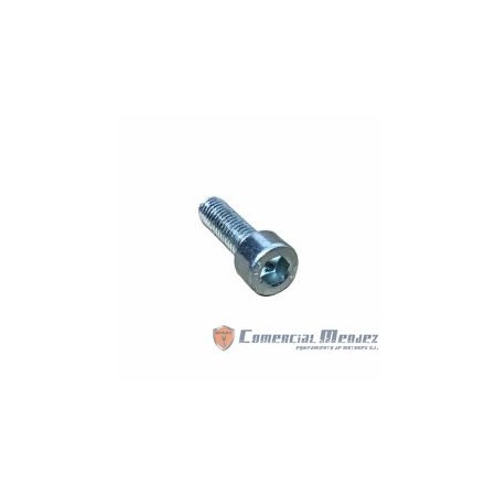 SCREW M 6 X 20 LOMBARDINI ED0097300120-S