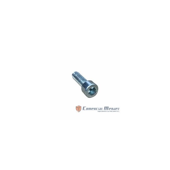 PARAFUSO M 6 X 20 LOMBARDINI ED0097300120-S