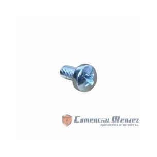 VIS M 5 X 10 LOMBARDINI ED0097900280-S