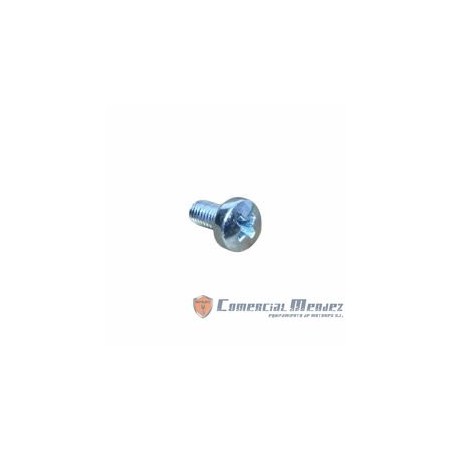 VIS M 5 X 10 LOMBARDINI ED0097900280-S