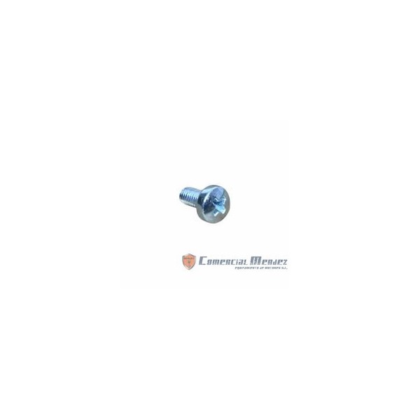 VIS M 5 X 10 LOMBARDINI ED0097900280-S