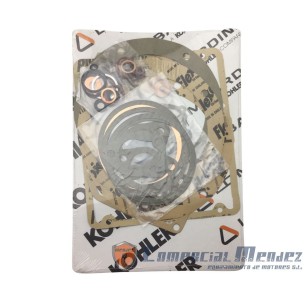 MINSEL RUGGERINI RF90/RF120/M540 KOMPLETTES DICHTUNGSSATZ