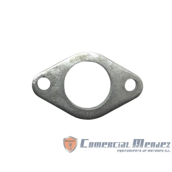 LOMBARDINI FLANSCH ED00399R0860-S