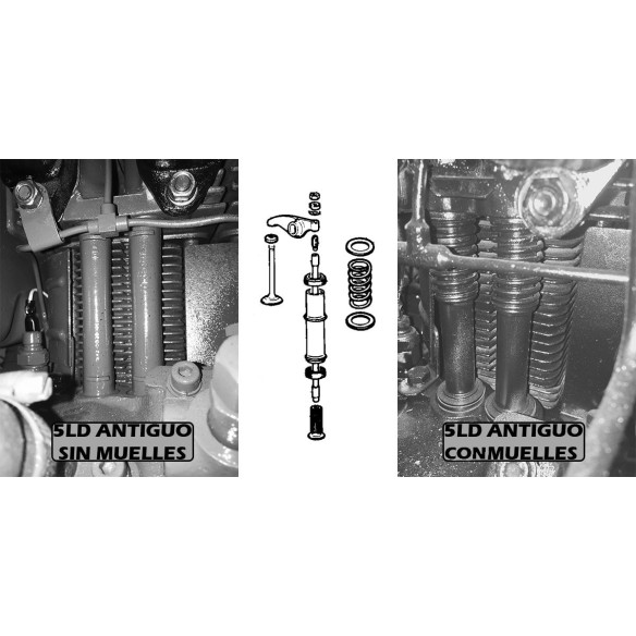 KIT MOTEUR LOMBARDINI LDA832 5LD 825 D.110 SANS RESSORTS