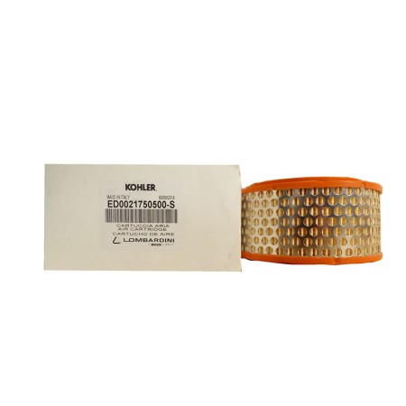 FILTRO AIRE LOMBARDINI: 6LD325