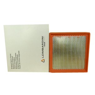 FILTRO AIRE LOMBARDINI: 3LD510,6LD325