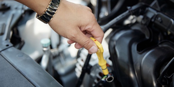 El cárter del motor y la varilla del nivel de aceite: ¡conócelos en profundidad! 